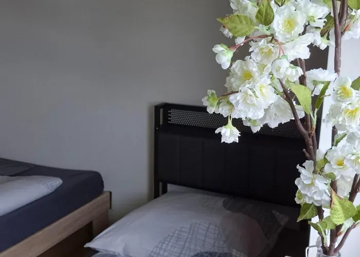 Steffis * Dietenhofen